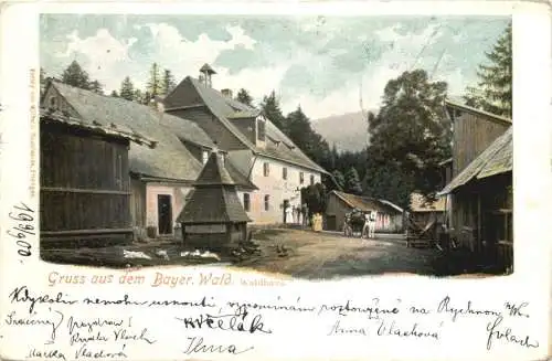 Waldhaus bei Zwiesel -766538