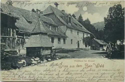 Waldhaus bei Zwiesel -766536
