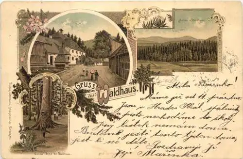 Gruss aus Waldhaus bei Zwiesel - Litho -766540