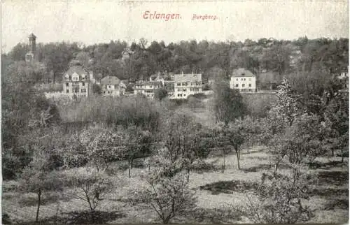 Erlangen - Burgberg -766840