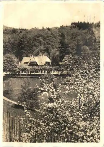 Freiburg im Schwarzwald - Waldrestaurant Jägerhäusle -767326