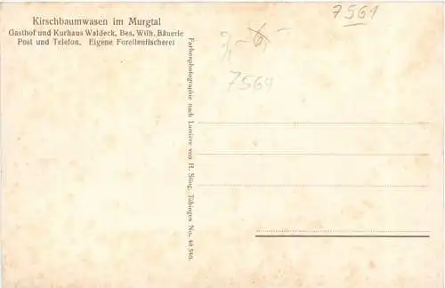 Kirschbaumwasen im Murgtal -767362