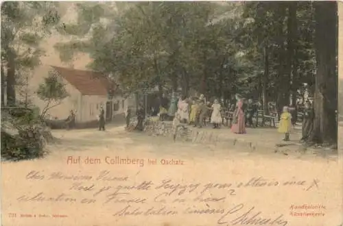 Auf dem Collmberg bei Oschatz -767964