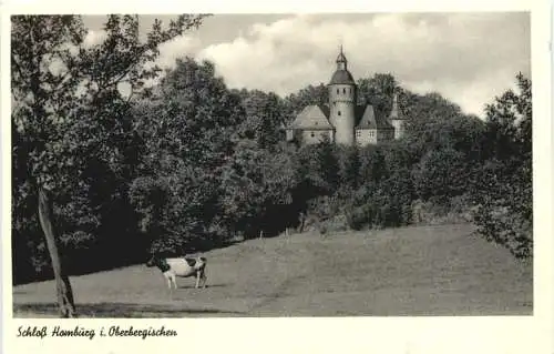 Schloß Homburg im Oberbergischen -768318