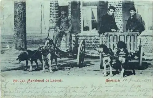 Anvers - Marchand de LApins - Hundekarren -768626