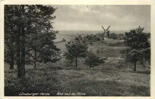 Lüneberger Heide - Blick nach der Mühle in Ramelsloh -769022