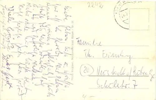 Büsum - Alter Hafen -769282