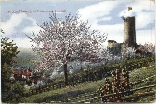Die Strahlenburg bei Schiesheim -769342