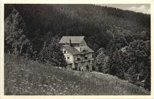 Bad Reinerz - Haus Fortuna -770332