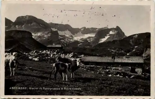 Anzeindaz, Glacier de Paneyrossaz et pierre Cabotz -506160