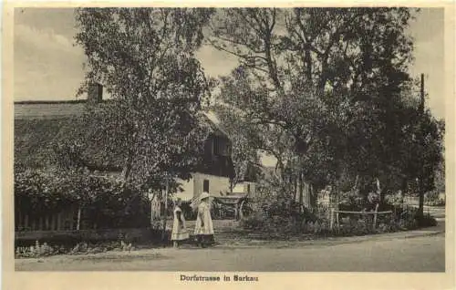 Dorfstrasse in Sarkau -741272