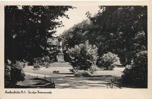 Leobschütz . In der Promenade -770434