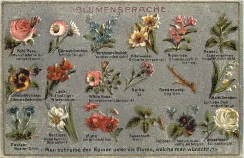 Blumensprache -771102