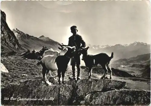 Der Geisenpeter auf der Alp - Ziegen -771188