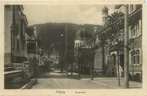 Triberg - Bergstraße -771278