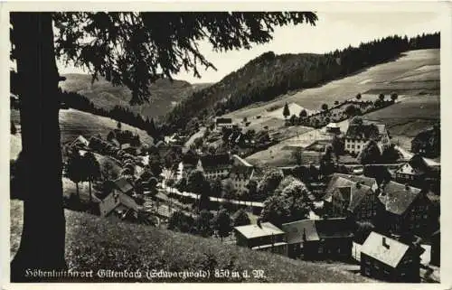 Gütenbach Schwarzwald -771298