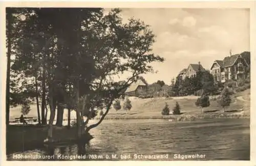 Königsfeld - Sägeweiher -771324