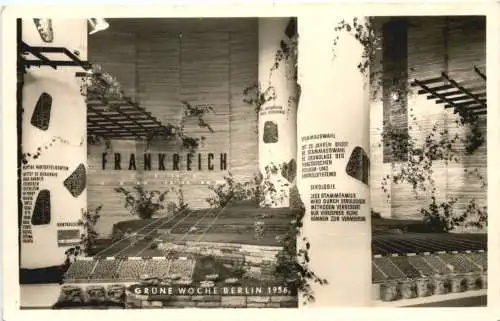 Berlin - Grüne Woche 1956 -771146