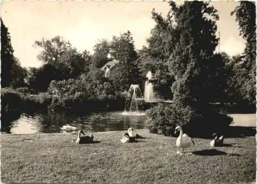 Rüsselsheim - Stadtpark -771186