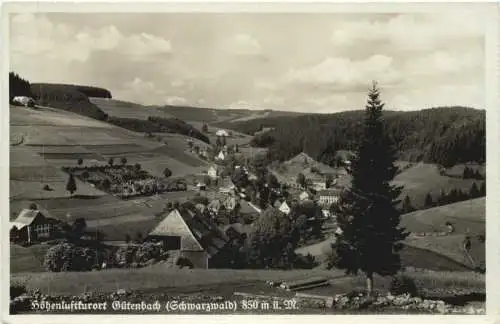 Gütenbach Schwarzwald -771290