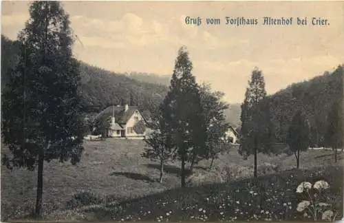 Trier - Forsthaus Altenhof -772290