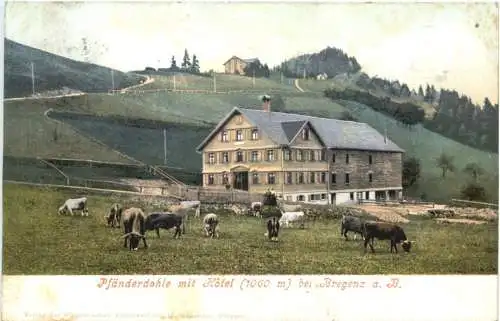 Pfänderdohle mit Hotel bei Bregenz -774474