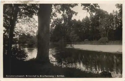 Birkenhof bei Greiffenberg in Schlesien -774572