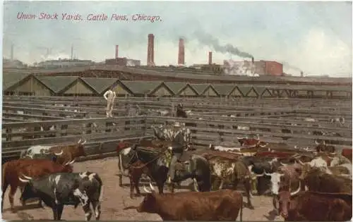 Chicago - Union Stock Yards - Cattle Pens -775028