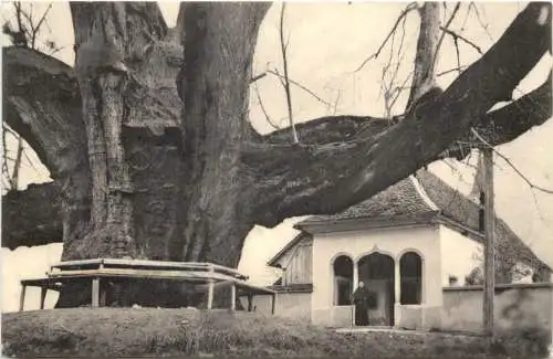 Bremgarten - Einsiedelei Emaus mit Riesenlinde -777084