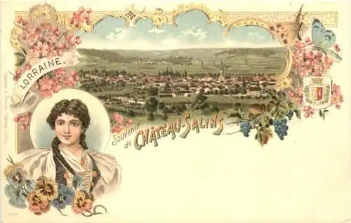 Souvenir de Chateau Salins - Litho -781276