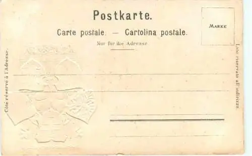 Bodenseedampfer Köig Karl - Litho Prägekarte -781736