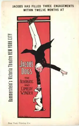 Jakobs Dogs - The Acrobatic Wonder Zirkus - Litho -782674