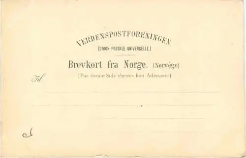 Norge - Sogne Fjord - Litho -783762