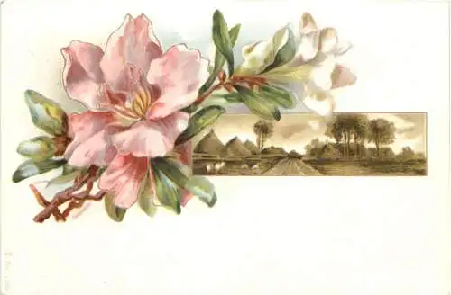 Blume - Litho -784556