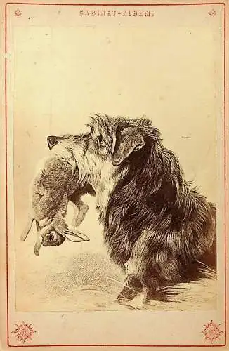 JAgd . Hund Hase - CDV -785223