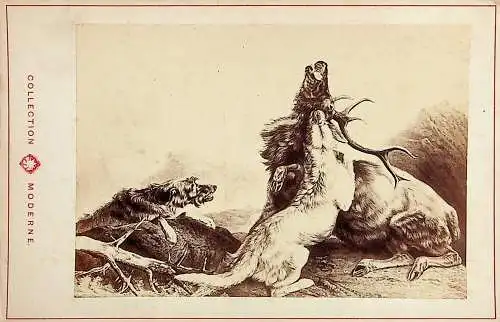 The death of the stag Künstler Ansdell - CDV -785229