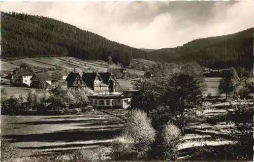 Enzklösterle - Wildbad im Schwarzwald -555012