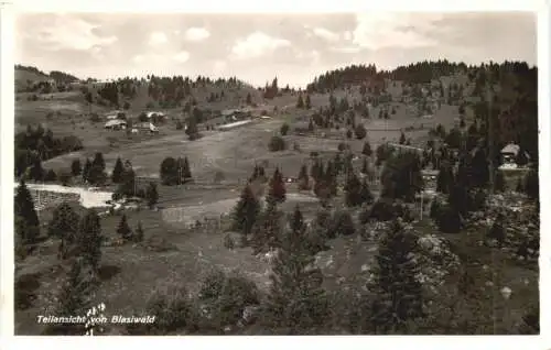 Teilansicht von Blasiwald -554824