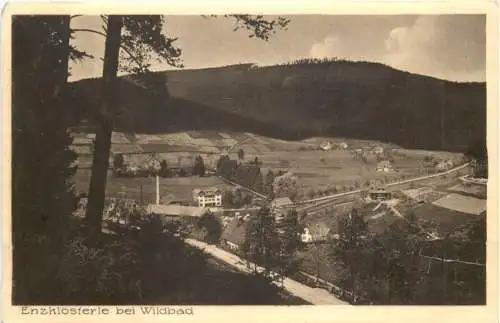 Enzklösterle bei Wildbad - Gasthaus zum Waldhorn -554960