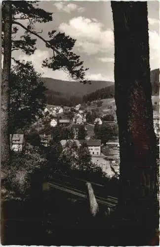 ENZKLOSTERLE im Schwarzwald -555094