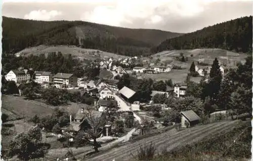 Enzklösterle -555086