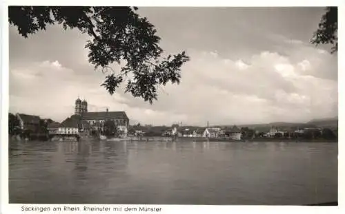 Säckingen am Rhein. Rheinufer mit dem Münster -555286