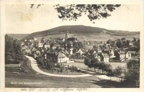 Blick vom Schützenhaus Neustadt Schwarzwald -555262