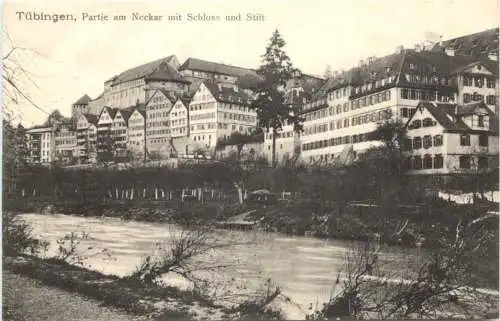 Tübingen, Partie am Neckar mit Schloss und Stift -555260