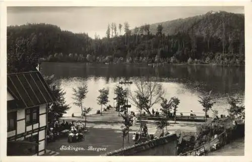 Säckingen. Bergsee -555518