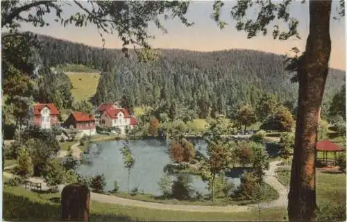Triberg Bergsee -555444