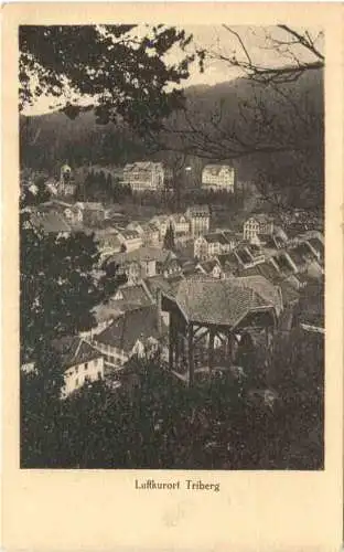 Luftkurort Triberg -555446