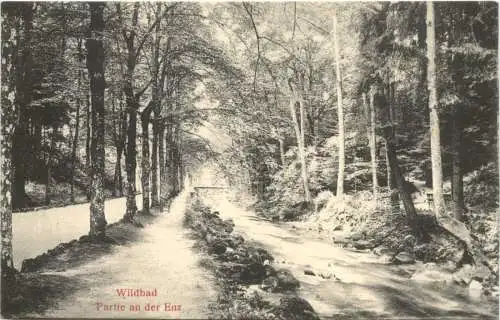 Wildbad Partie an der Enz -555632