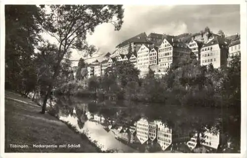Tübingen Neckarpartie mit Schloß -555626