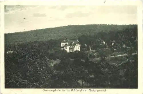 Genesungsheim der Stadt Mannheim, Neckargemünd -555734